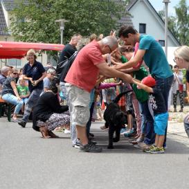 Zur Hocketse auf den Hund gekommen